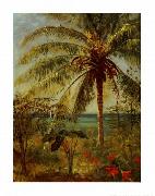 Albert Bierstadt Palm Tree, Nassau by Albert Bierstadt oil painting on canvas